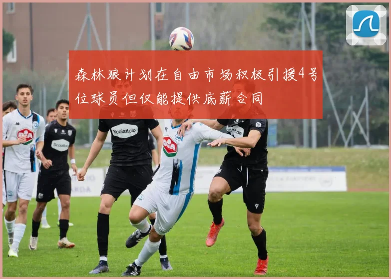 森林狼计划在自由市场积极引援4号位球员但仅能提供底薪合同